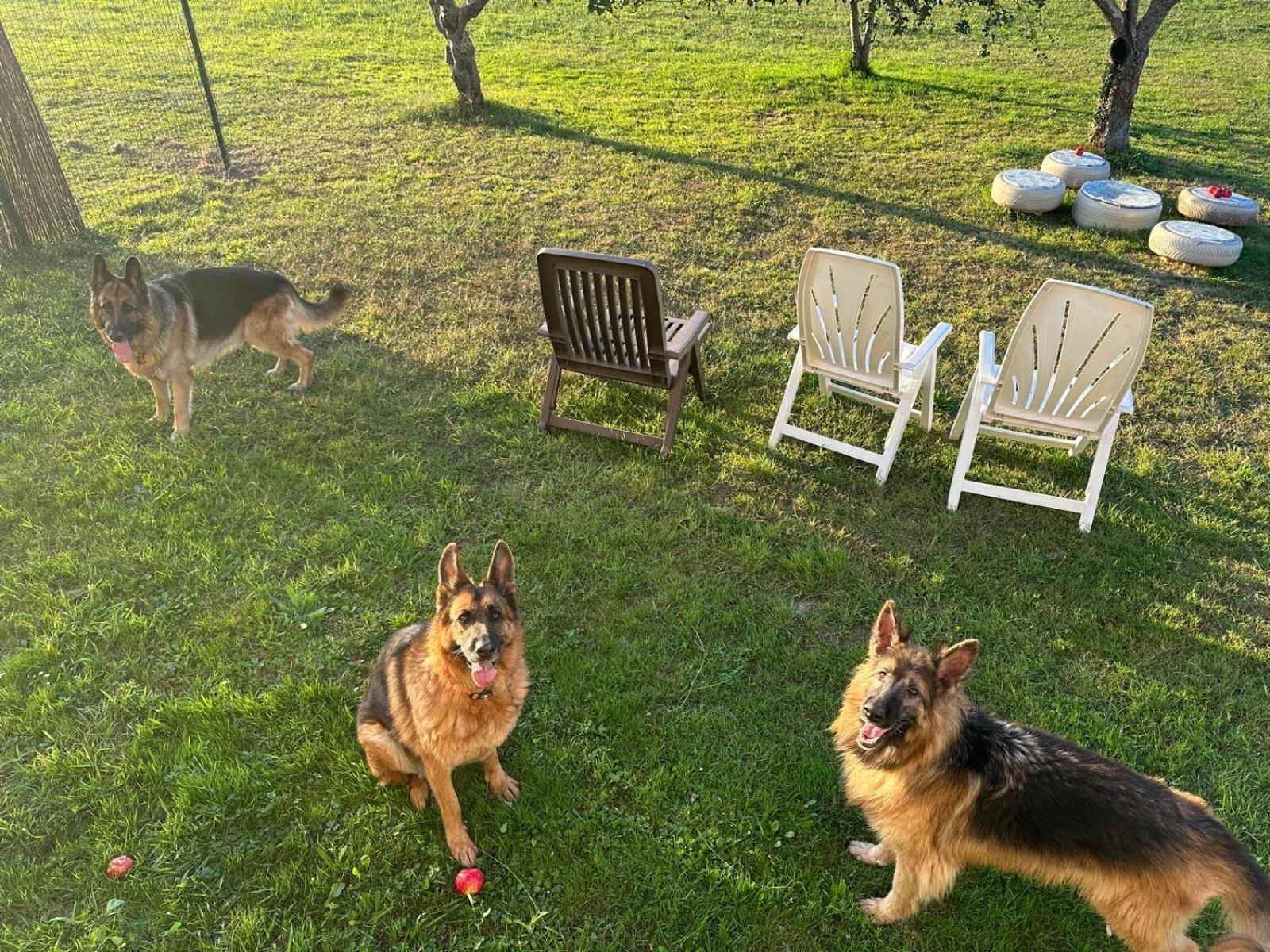 Casa Pozo Das Leiras Ares Cameră foto